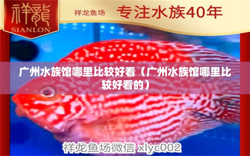 广州水族馆哪里比较好看（广州水族馆哪里比较好看的）