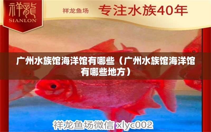 广州水族馆海洋馆有哪些（广州水族馆海洋馆有哪些地方）