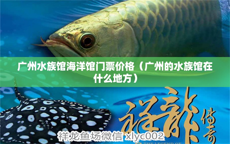 广州水族馆海洋馆门票价格（广州的水族馆在什么地方）