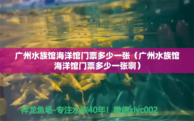 广州水族馆海洋馆门票多少一张（广州水族馆海洋馆门票多少一张啊）