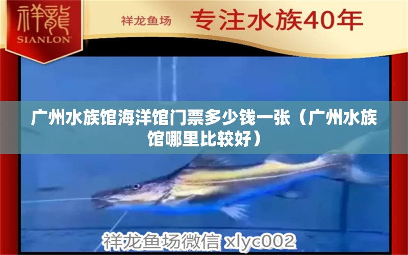 广州水族馆海洋馆门票多少钱一张（广州水族馆哪里比较好）