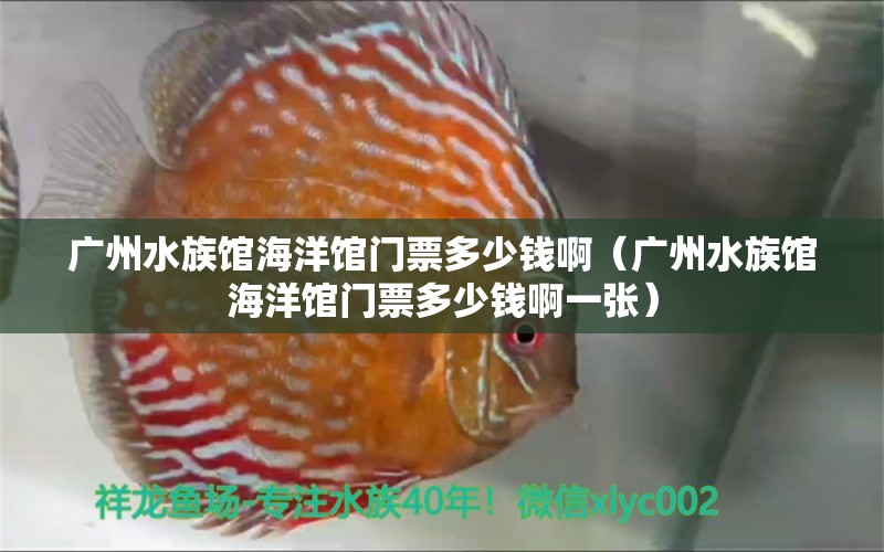 广州水族馆海洋馆门票多少钱啊（广州水族馆海洋馆门票多少钱啊一张） 广州水族批发市场