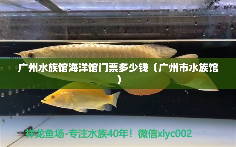 广州水族馆海洋馆门票多少钱（广州市水族馆）