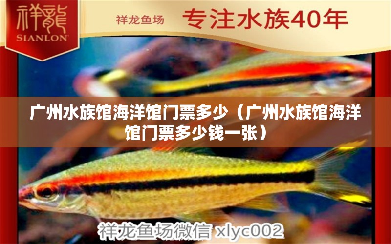 广州水族馆海洋馆门票多少（广州水族馆海洋馆门票多少钱一张）