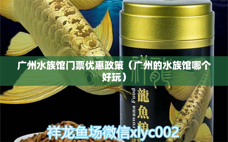 广州水族馆门票优惠政策（广州的水族馆哪个好玩）