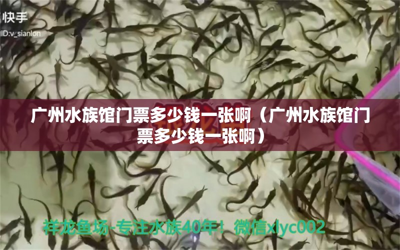 广州水族馆门票多少钱一张啊（广州水族馆门票多少钱一张啊） 广州水族批发市场