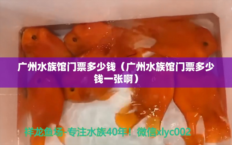 广州水族馆门票多少钱（广州水族馆门票多少钱一张啊）