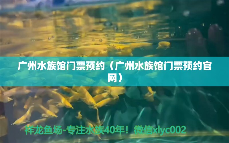 广州水族馆门票预约（广州水族馆门票预约官网）