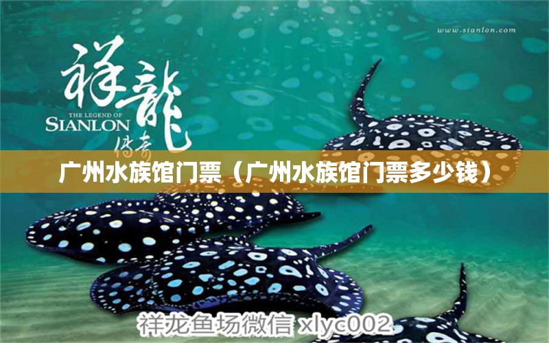 广州水族馆门票（广州水族馆门票多少钱）