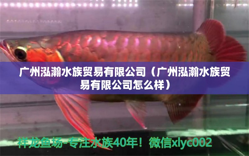 广州泓瀚水族贸易有限公司（广州泓瀚水族贸易有限公司怎么样）