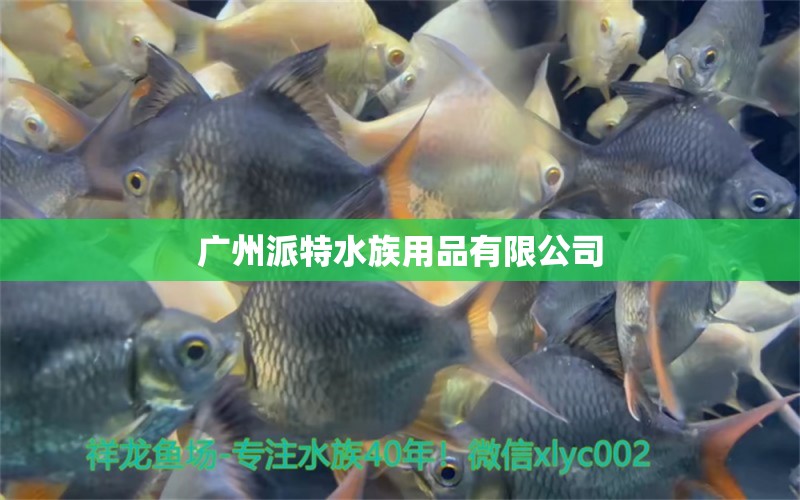 广州派特水族用品有限公司 水族用品