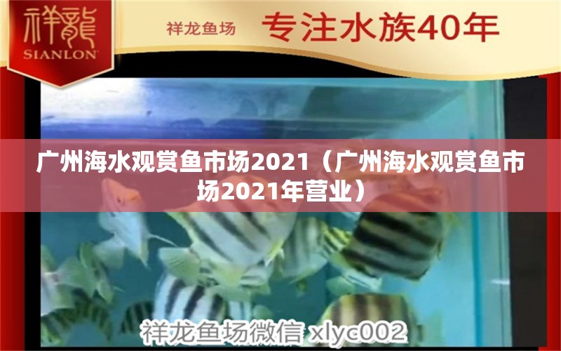 广州海水观赏鱼市场2021（广州海水观赏鱼市场2021年营业）