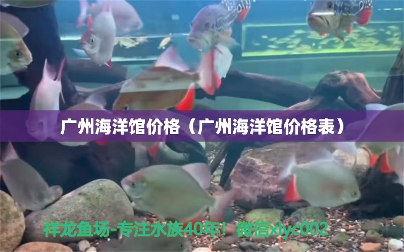 广州海洋馆价格（广州海洋馆价格表）