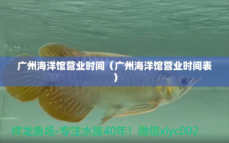 广州海洋馆营业时间（广州海洋馆营业时间表）