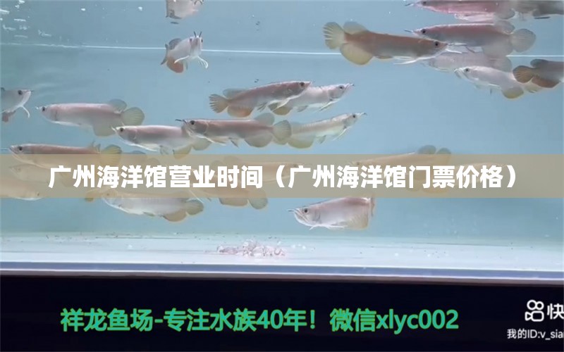 广州海洋馆营业时间（广州海洋馆门票价格） 观赏鱼