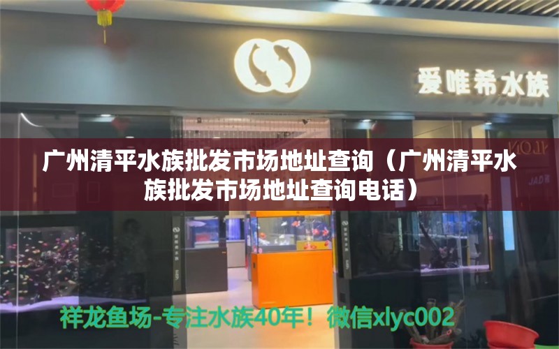 广州清平水族批发市场地址查询（广州清平水族批发市场地址查询电话）