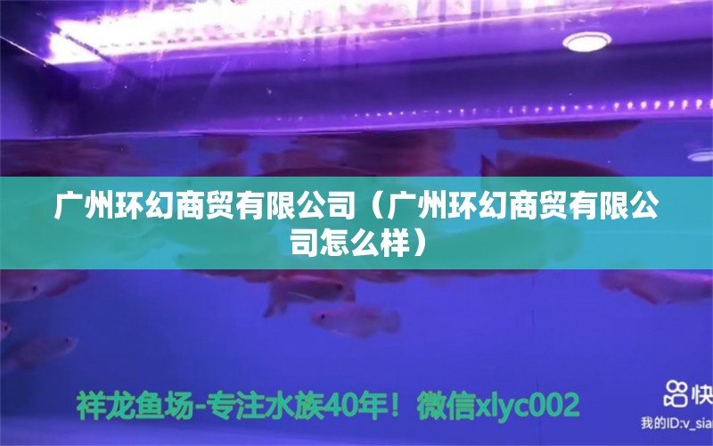 广州环幻商贸有限公司（广州环幻商贸有限公司怎么样） 全国水族馆企业名录