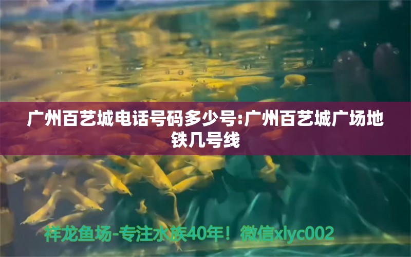 广州百艺城电话号码多少号:广州百艺城广场地铁几号线 定时器/自控系统 第1张