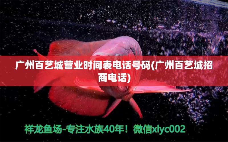 广州百艺城营业时间表电话号码(广州百艺城招商电话)