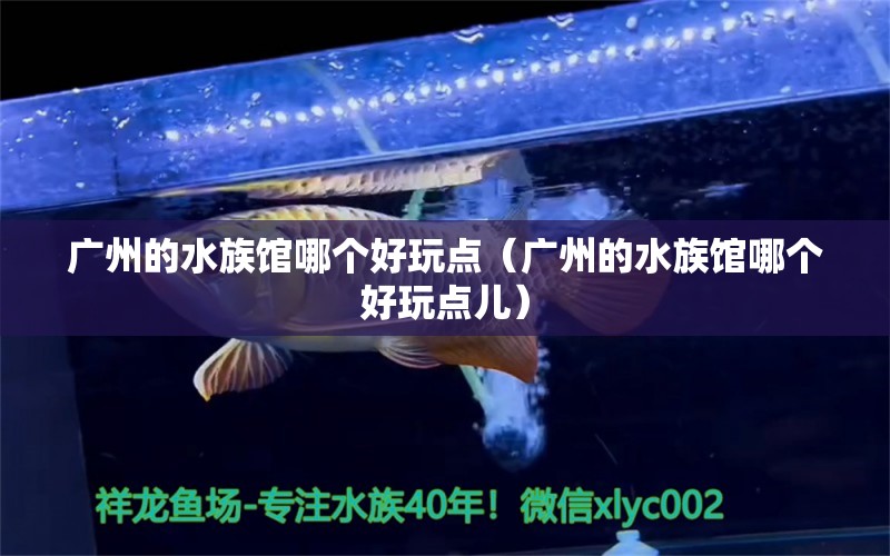 广州的水族馆哪个好玩点（广州的水族馆哪个好玩点儿）