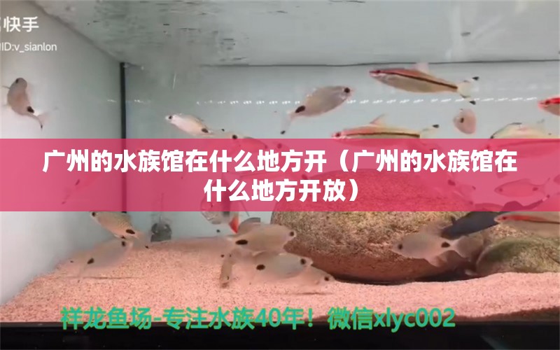 广州的水族馆在什么地方开（广州的水族馆在什么地方开放）