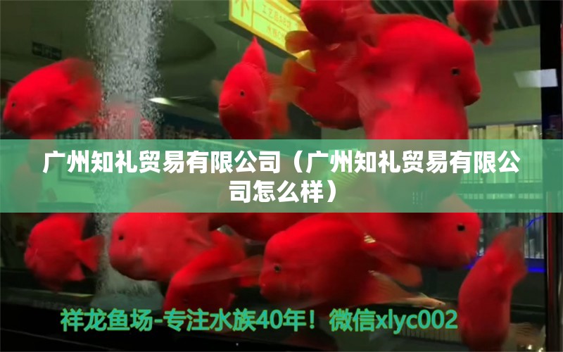 广州知礼贸易有限公司（广州知礼贸易有限公司怎么样） 全国水族馆企业名录