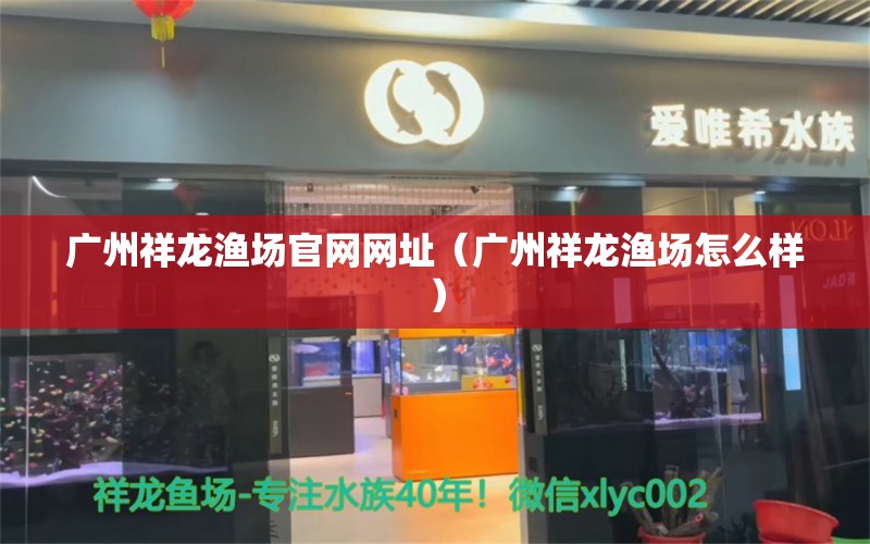 广州祥龙渔场官网网址（广州祥龙渔场怎么样）