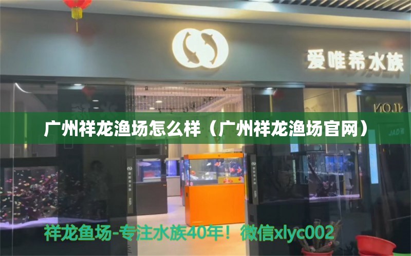 广州祥龙渔场怎么样（广州祥龙渔场官网）