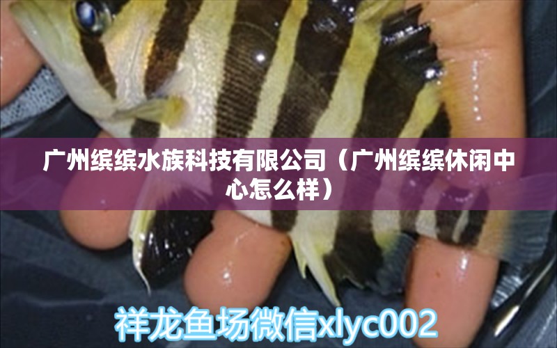 广州缤缤水族科技有限公司（广州缤缤休闲中心怎么样）