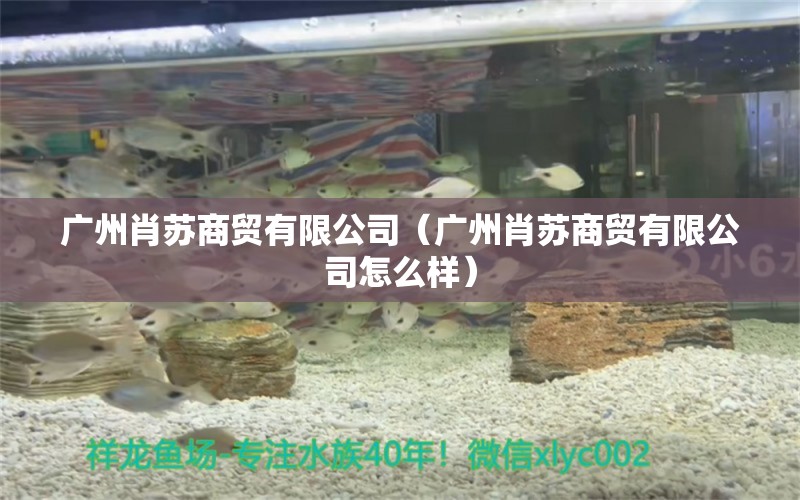 广州肖苏商贸有限公司（广州肖苏商贸有限公司怎么样） 全国水族馆企业名录