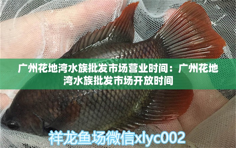 广州花地湾水族批发市场营业时间：广州花地湾水族批发市场开放时间