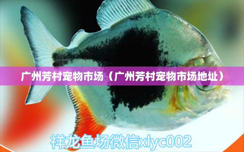 广州芳村宠物市场（广州芳村宠物市场地址） 广州水族批发市场