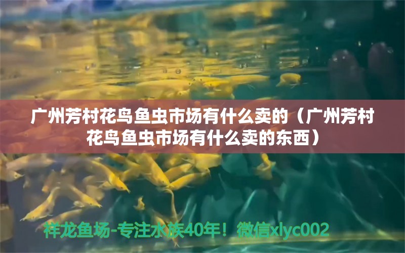 广州芳村花鸟鱼虫市场有什么卖的（广州芳村花鸟鱼虫市场有什么卖的东西）