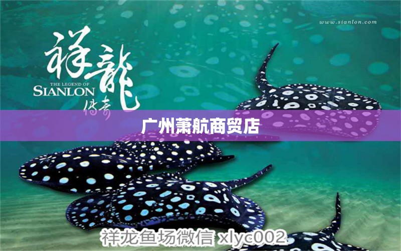 广州萧航商贸店 全国水族馆企业名录