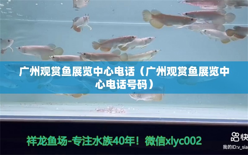 广州观赏鱼展览中心电话（广州观赏鱼展览中心电话号码）