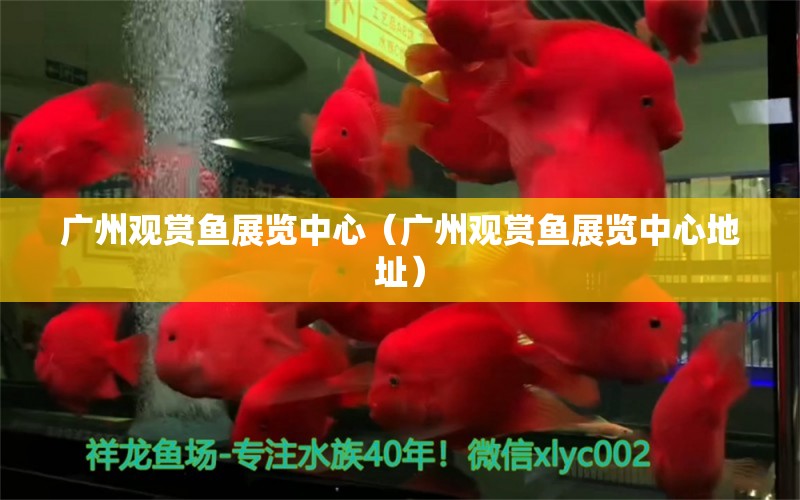 广州观赏鱼展览中心（广州观赏鱼展览中心地址） 广州水族批发市场