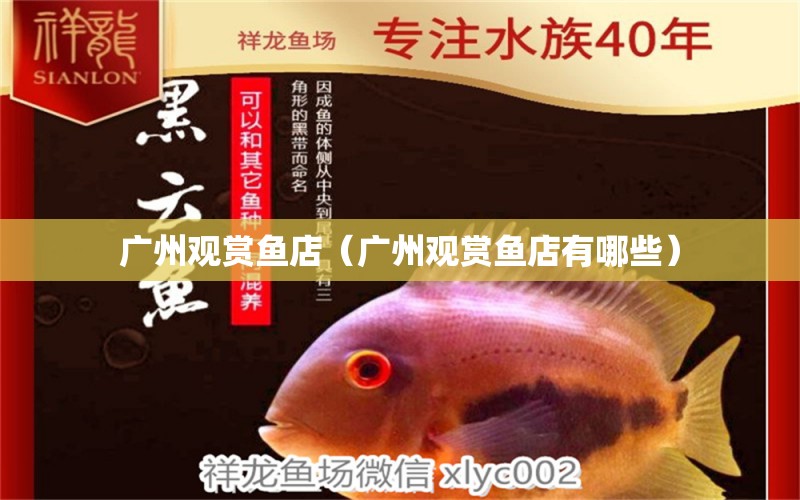 广州观赏鱼店（广州观赏鱼店有哪些） 祥龙水族医院