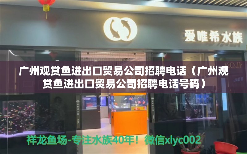 广州观赏鱼进出口贸易公司招聘电话（广州观赏鱼进出口贸易公司招聘电话号码）