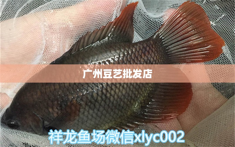 广州豆艺批发店 全国水族馆企业名录