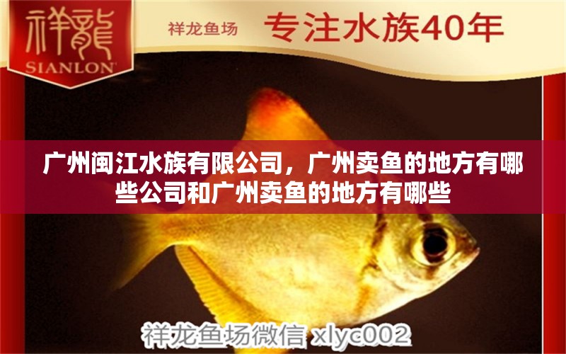 广州闽江水族有限公司，广州卖鱼的地方有哪些公司和广州卖鱼的地方有哪些