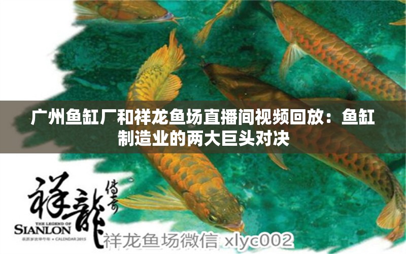广州鱼缸厂和祥龙鱼场直播间视频回放：鱼缸制造业的两大巨头对决