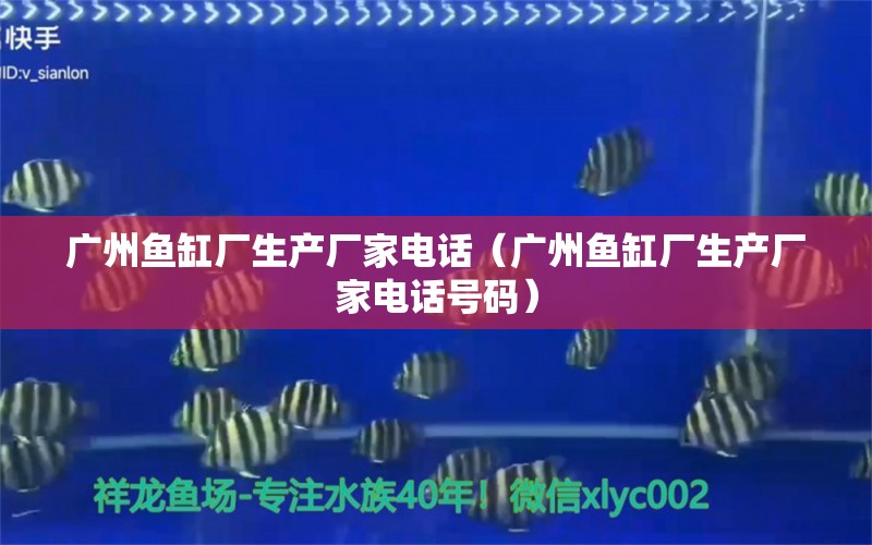 广州鱼缸厂生产厂家电话（广州鱼缸厂生产厂家电话号码） 观赏鱼市场（混养鱼）