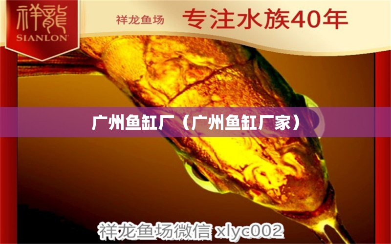 广州鱼缸厂（广州鱼缸厂家） 其他品牌鱼缸