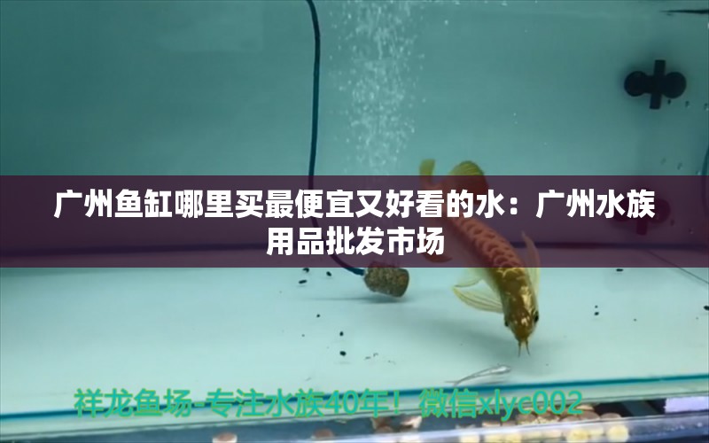 广州鱼缸哪里买最便宜又好看的水：广州水族用品批发市场