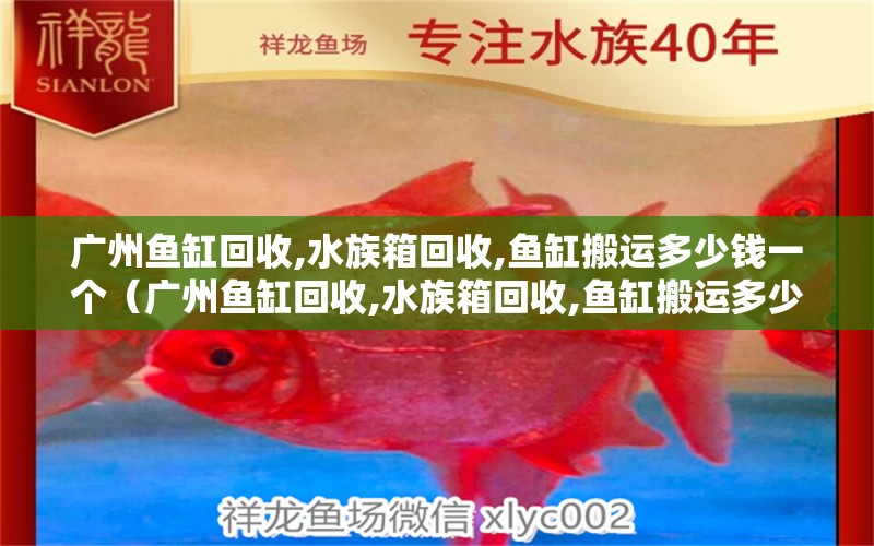 广州鱼缸回收,水族箱回收,鱼缸搬运多少钱一个（广州鱼缸回收,水族箱回收,鱼缸搬运多少钱一个）