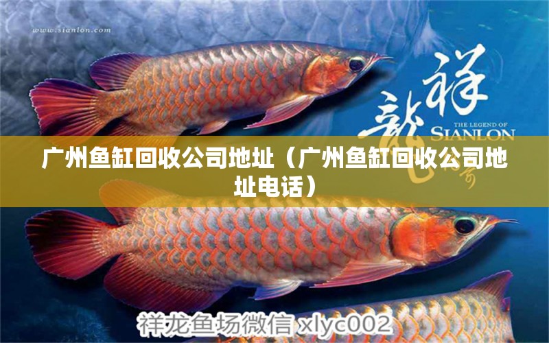 广州鱼缸回收公司地址（广州鱼缸回收公司地址电话） 祥龙水族医院