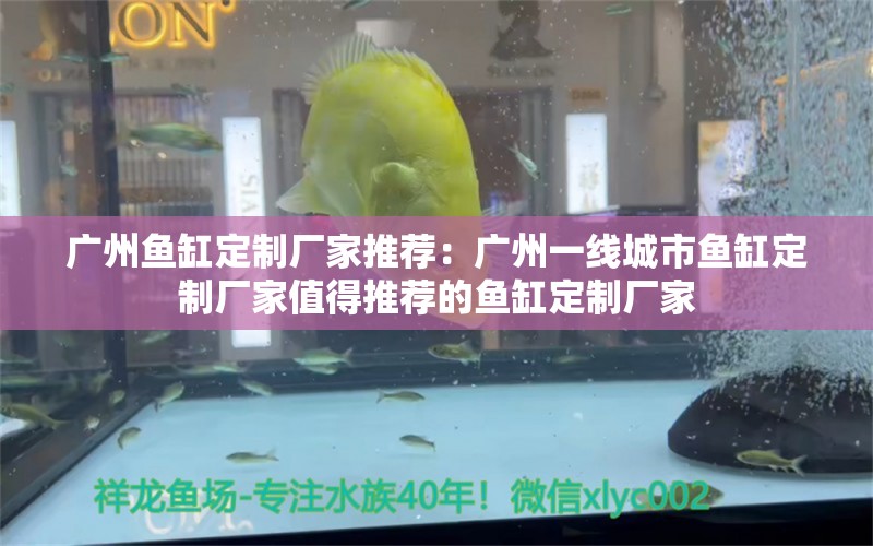 广州鱼缸定制厂家推荐：广州一线城市鱼缸定制厂家值得推荐的鱼缸定制厂家