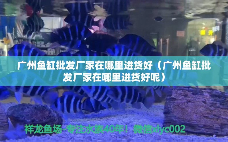 广州鱼缸批发厂家在哪里进货好（广州鱼缸批发厂家在哪里进货好呢）