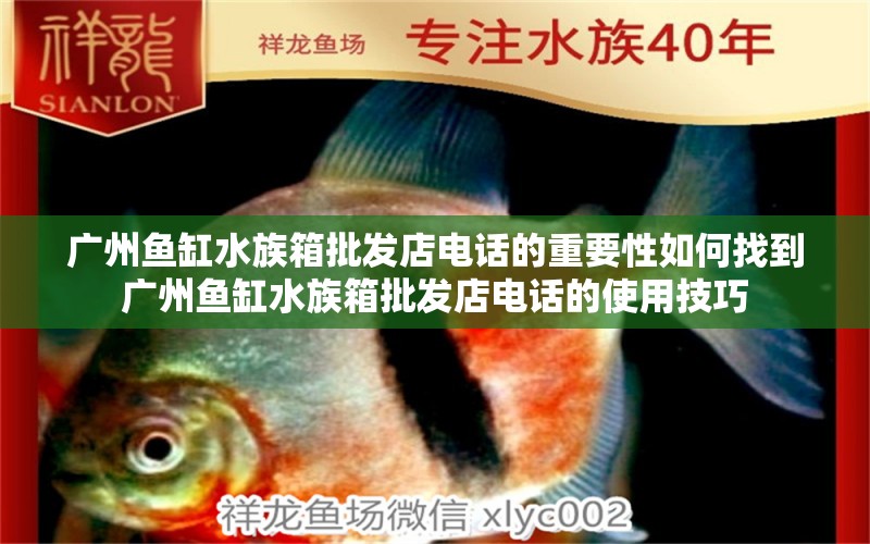 广州鱼缸水族箱批发店电话的重要性如何找到广州鱼缸水族箱批发店电话的使用技巧