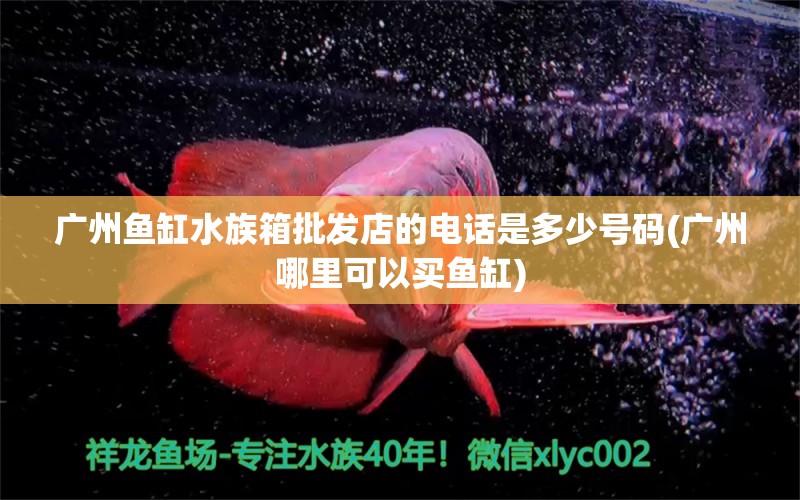 广州鱼缸水族箱批发店的电话是多少号码(广州哪里可以买鱼缸) 鱼缸/水族箱